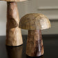 Porcini Mushroom - Set of 6 By Accent Decor | Planters, Troughs & Cachepots | Modishstore - 4