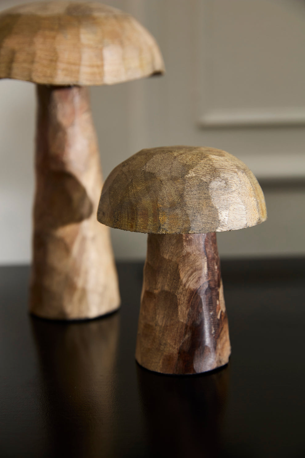 Porcini Mushroom - Set of 6 By Accent Decor | Planters, Troughs & Cachepots | Modishstore - 4