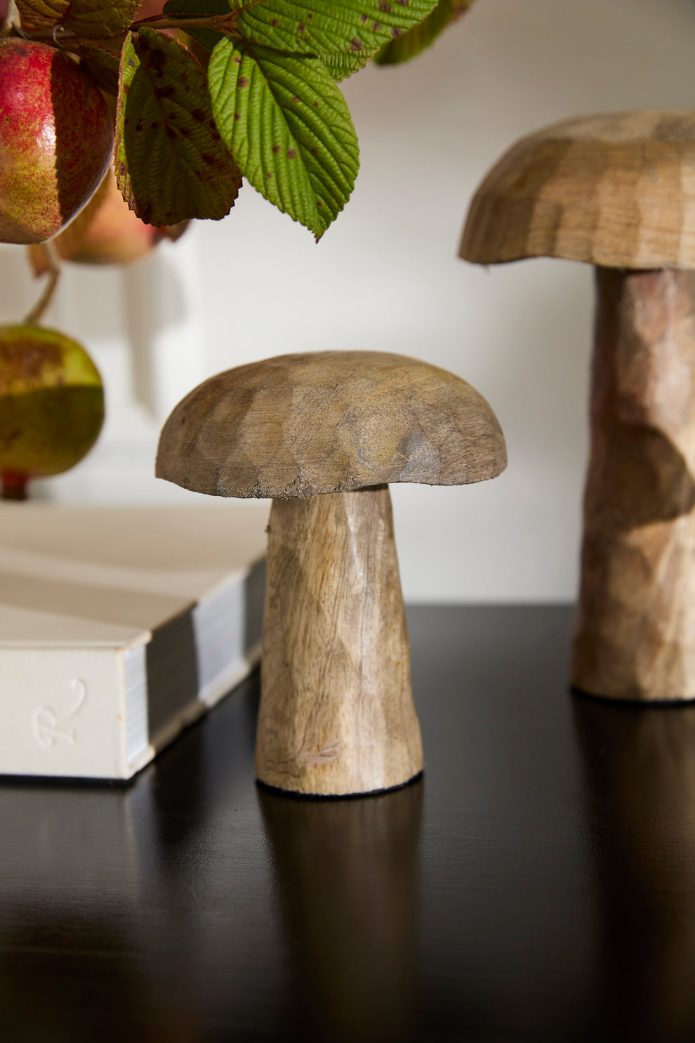 Porcini Mushroom - Set of 6 By Accent Decor | Planters, Troughs & Cachepots | Modishstore - 5