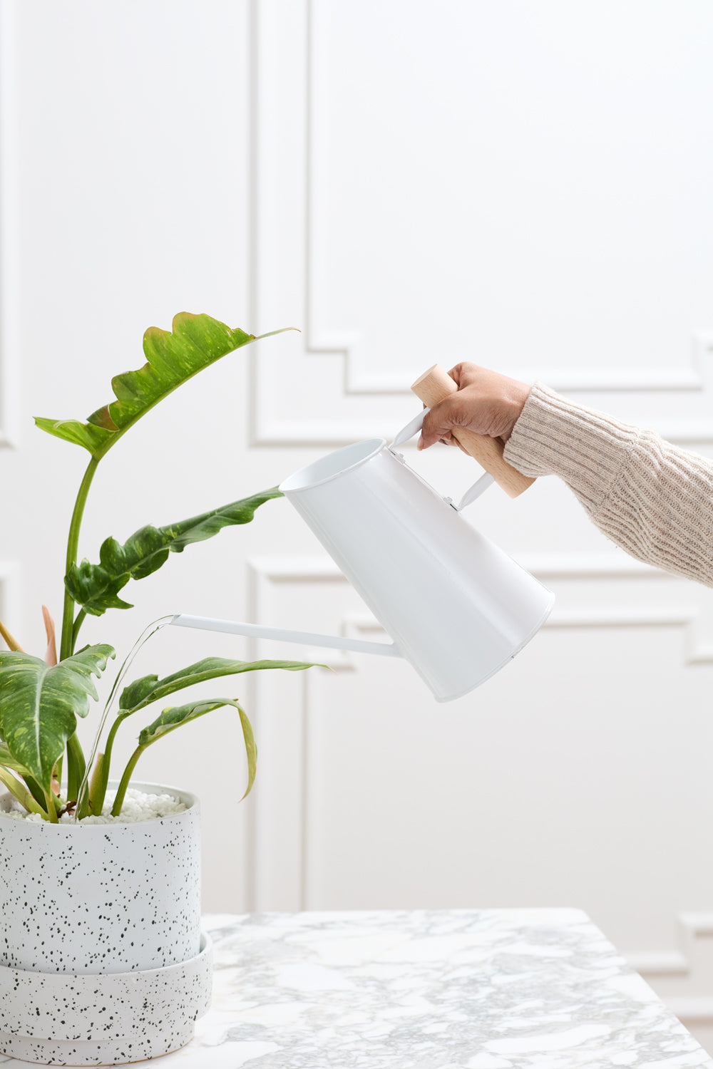 Preston Watering Can Set of 4 By Accent Decor | Stands | Modishstore - 1