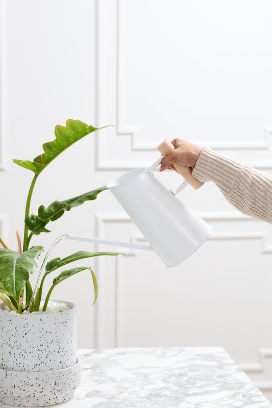 Preston Watering Can Set of 4 By Accent Decor | Stands | Modishstore - 1