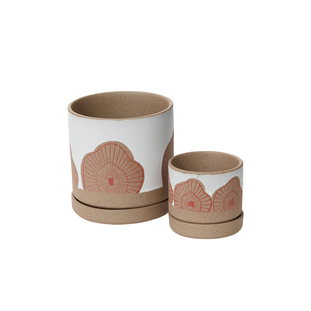 Protea Pot Set of 8 By Accent Decor | Planters, Troughs & Cachepots | Modishstore - 4