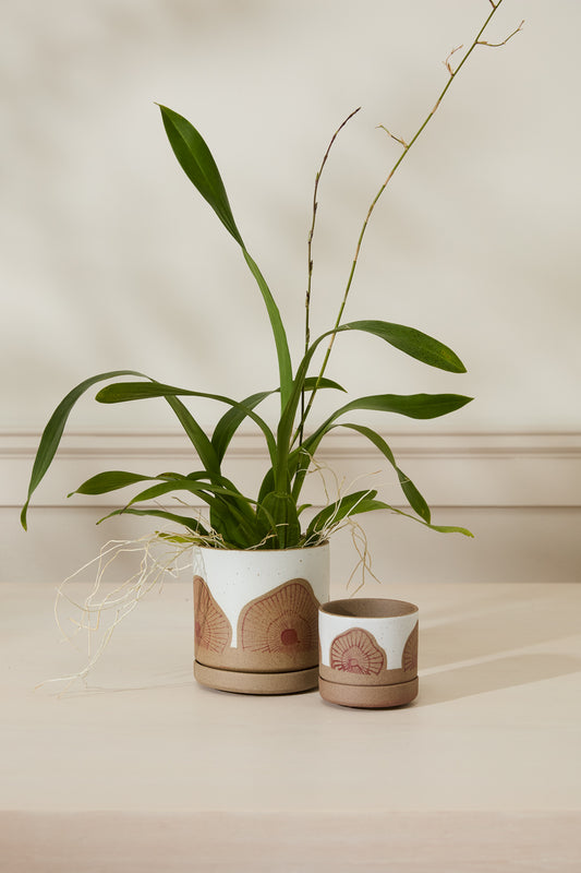 Protea Pot Set of 8 By Accent Decor | Planters, Troughs & Cachepots | Modishstore - 1