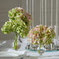 Queensland Budvase Set of 8 By Accent Decor | Vases | Modishstore - 4