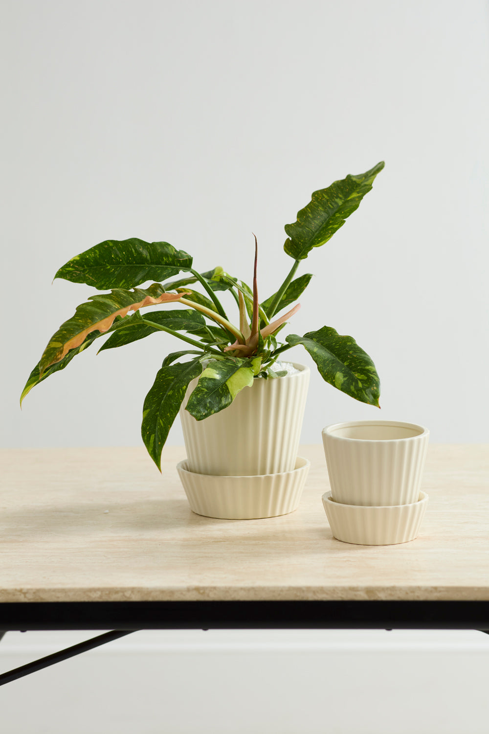Quincy Pot Set of 4 By Accent Decor | Planters, Troughs & Cachepots | Modishstore - 5