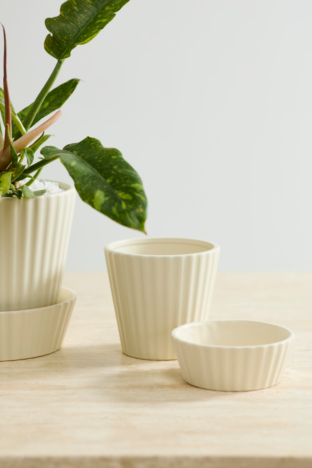 Quincy Pot Set of 4 By Accent Decor | Planters, Troughs & Cachepots | Modishstore - 4