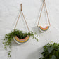 Rainbow Hanging Planter Set of 2 By Accent Decor | Planters, Troughs & Cachepots | Modishstore - 3