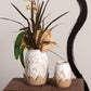 Raveena Vase Set of 8 By Accent Decor | Vases | Modishstore - 1
