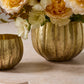 Ravi Pot Set of 8 By Accent Decor | Wall Decor | Modishstore - 1