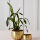 Ravi Pot Set of 8 By Accent Decor | Wall Decor | Modishstore - 5