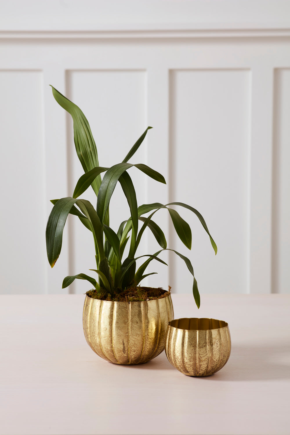 Ravi Pot Set of 8 By Accent Decor | Wall Decor | Modishstore - 5