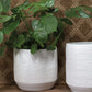 Ray Pot By Accent Decor | Planters, Troughs & Cachepots | Modishstore - 4