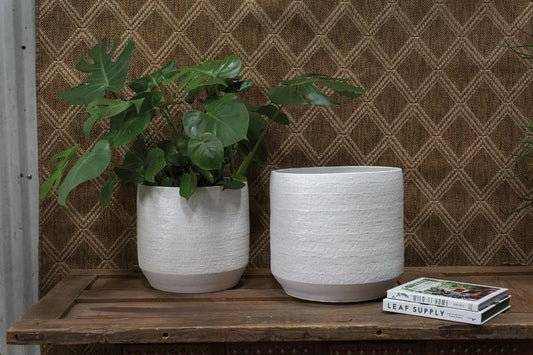 Ray Pot By Accent Decor | Planters, Troughs & Cachepots | Modishstore - 1