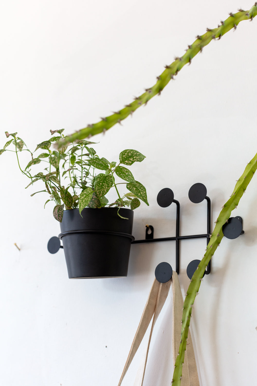 Rayen Wall Hanger Set of 4 By Accent Decor | Wall Decor | Modishstore - 2