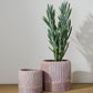 Refresh Pot Set of 2 By Accent Decor | Wall Decor | Modishstore - 1