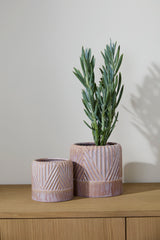 Refresh Pot Set of 2 By Accent Decor