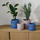 Refresh Pot Set of 2 By Accent Decor | Wall Decor | Modishstore - 3