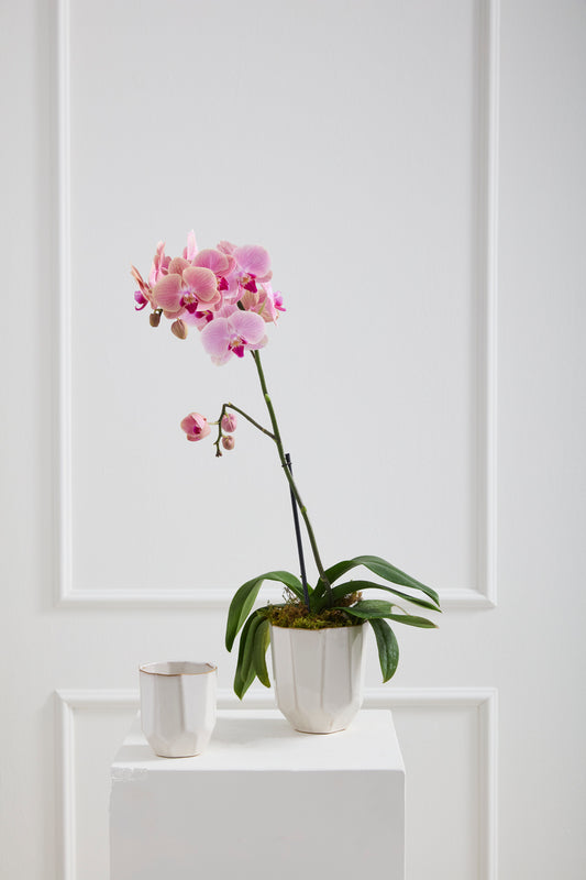 Renew Vase Set of 8 By Accent Decor | Vases | Modishstore - 1