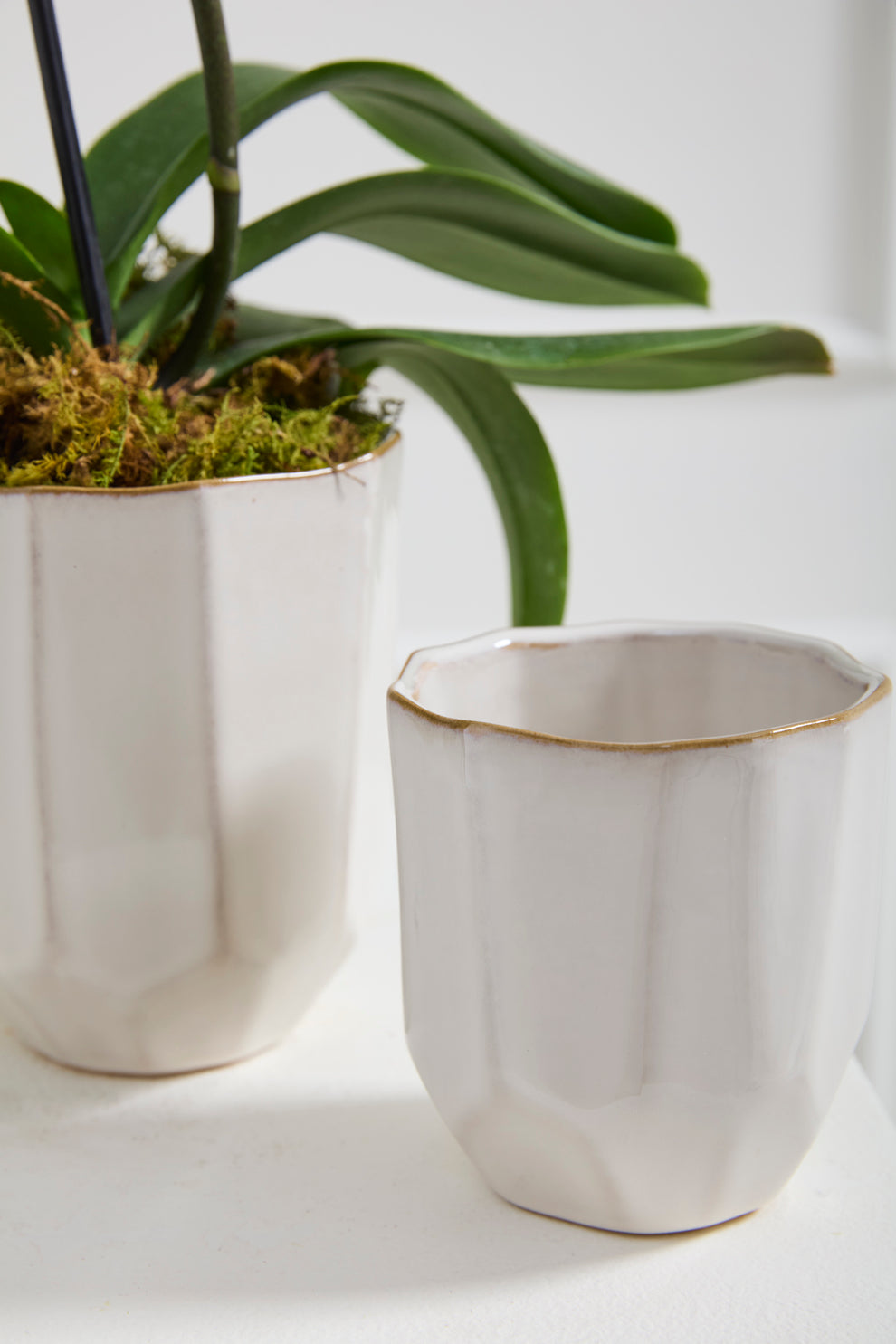 Renew Vase Set of 8 By Accent Decor | Vases | Modishstore - 4