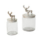 Renton Canister Set of 2 By Accent Decor | Jars & Canisters | Modishstore - 4