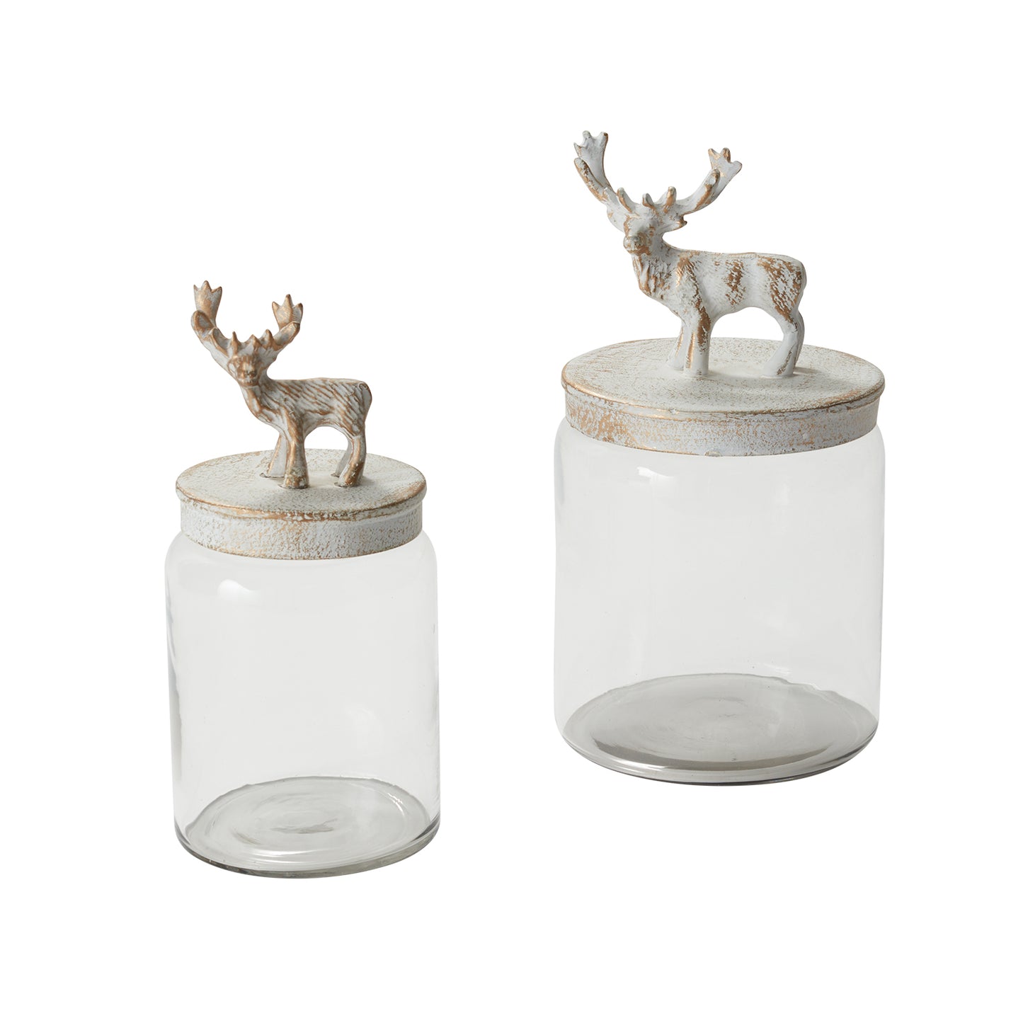 Renton Canister Set of 2 By Accent Decor | Jars & Canisters | Modishstore - 4