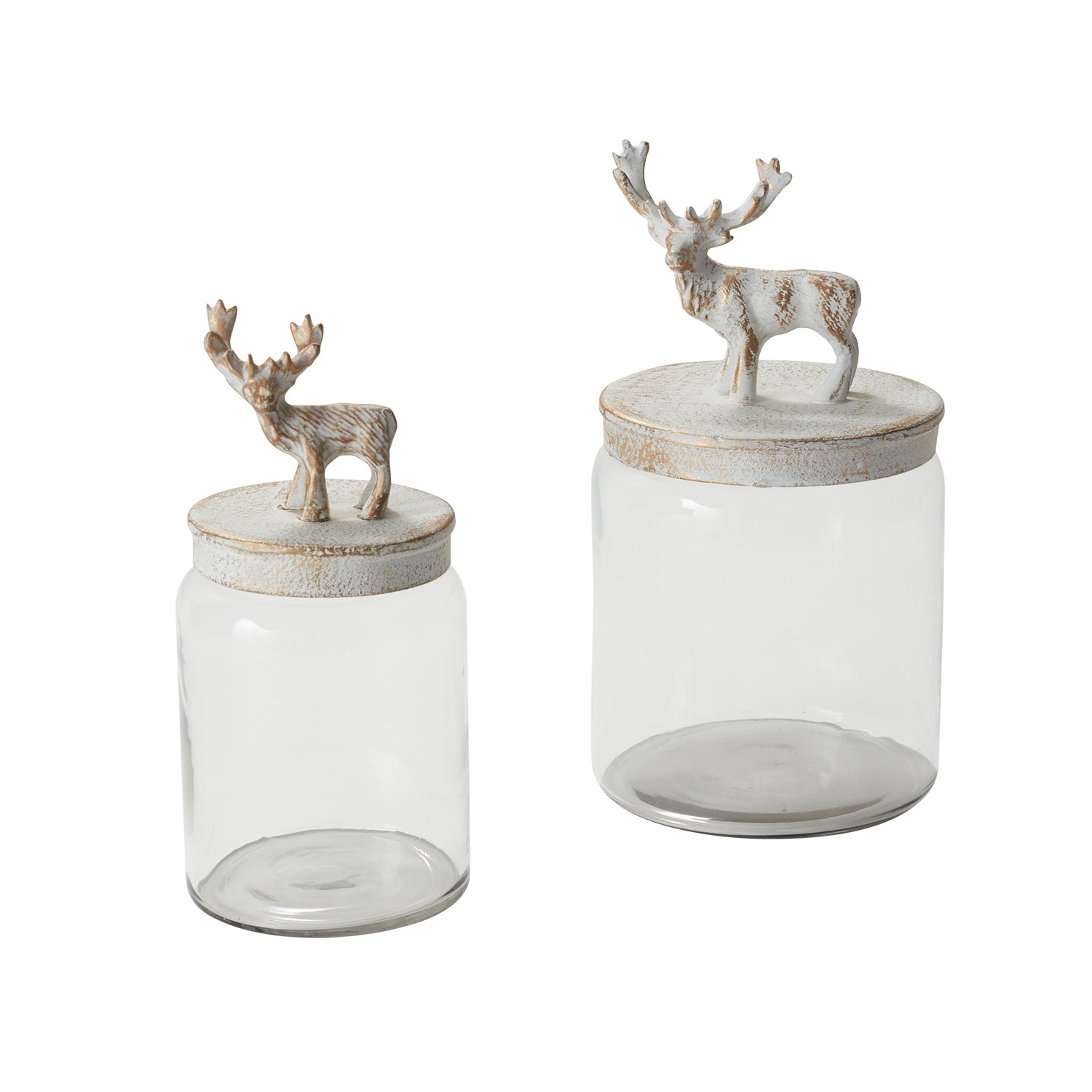Renton Canister Set of 2 By Accent Decor | Jars & Canisters | Modishstore - 4