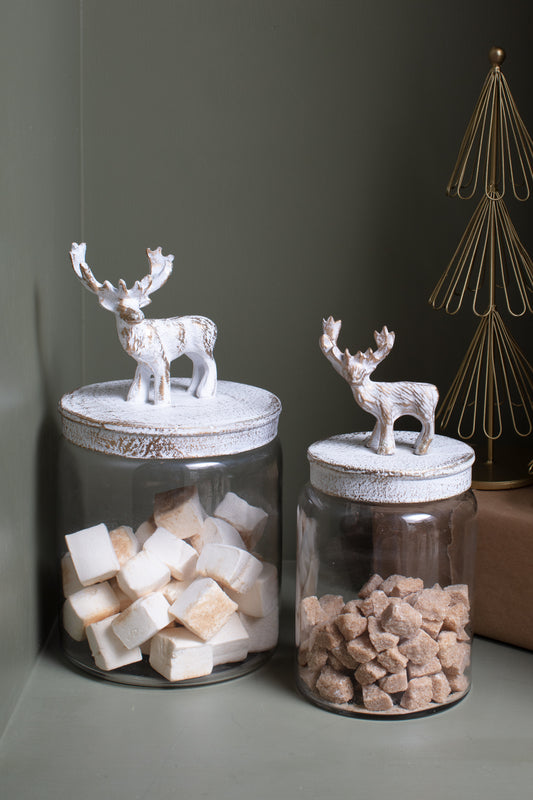 Renton Canister Set of 2 By Accent Decor | Jars & Canisters | Modishstore - 1