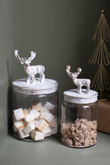 Renton Canister Set of 2 By Accent Decor