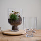 Reservoir Terrarium Set of 2 By Accent Decor | Stands | Modishstore - 1