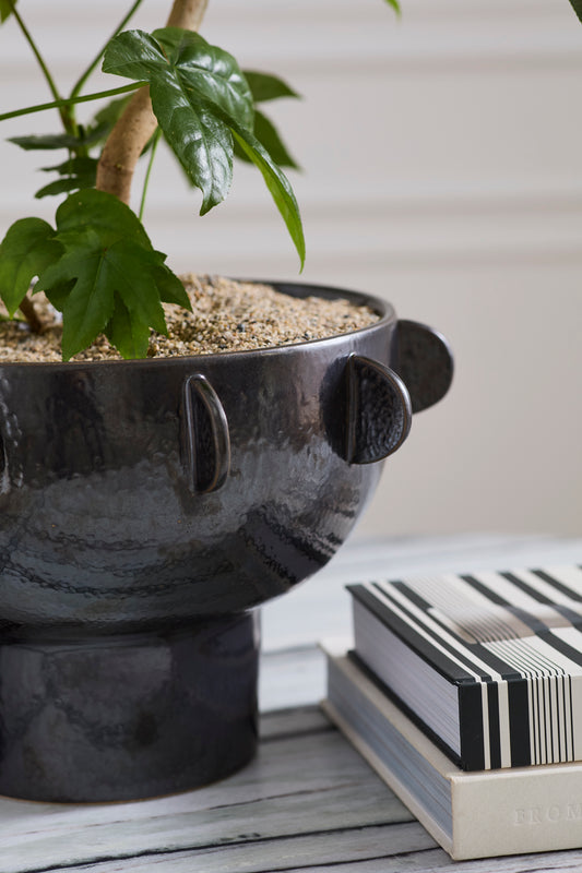 Black Reverie Bowl By Accent Decor | Decorative Bowls | Modishstore - 1