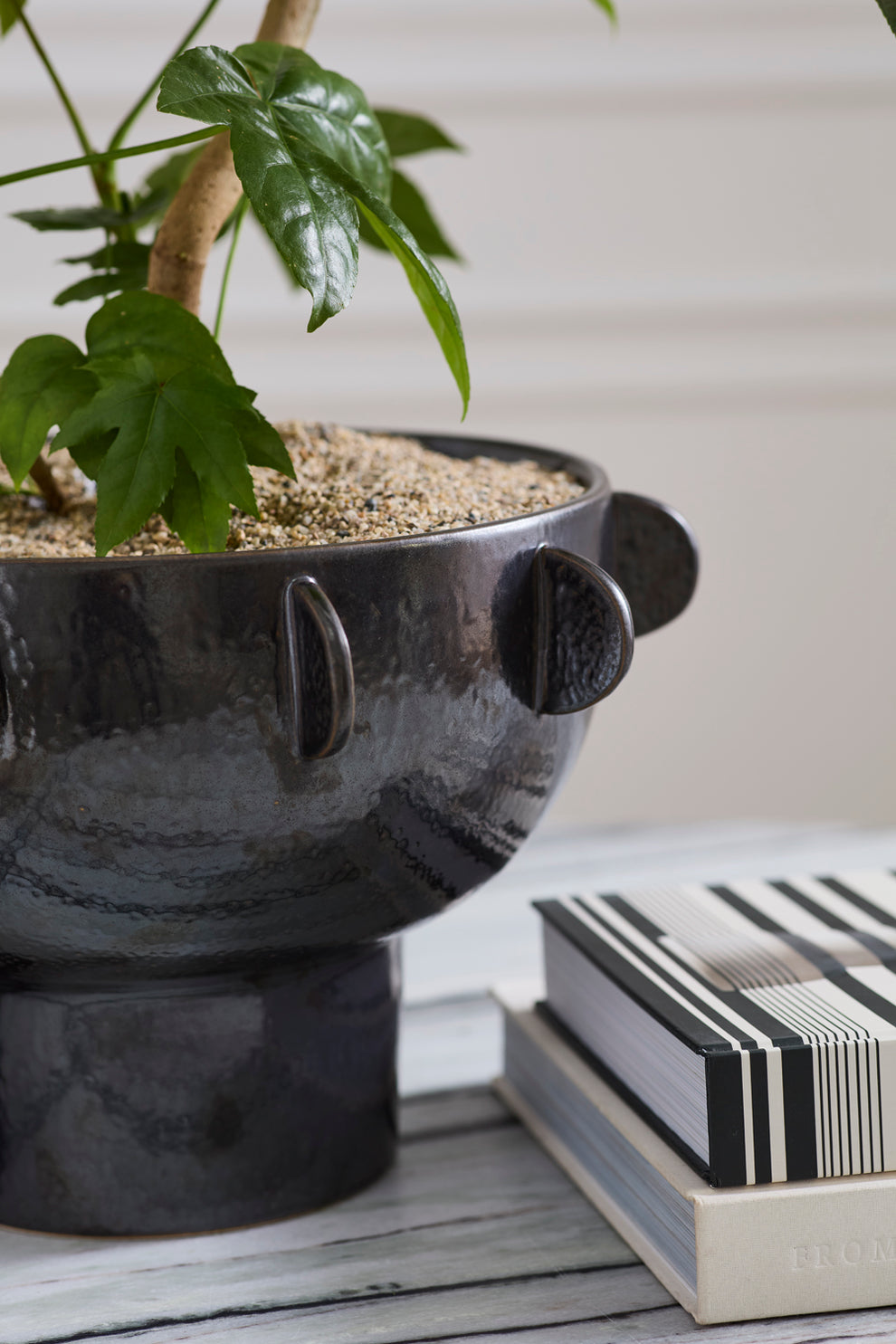 Black Reverie Bowl By Accent Decor | Decorative Bowls | Modishstore - 1