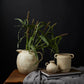 Revival Collection Set of 8 By Accent Decor | Vases | Modishstore - 1