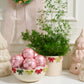Ribbonelle Collection Set of 4 By Accent Decor | Planters, Troughs & Cachepots | Modishstore - 3