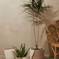 Rift Pot By Accent Decor | Planters, Troughs & Cachepots | Modishstore - 3