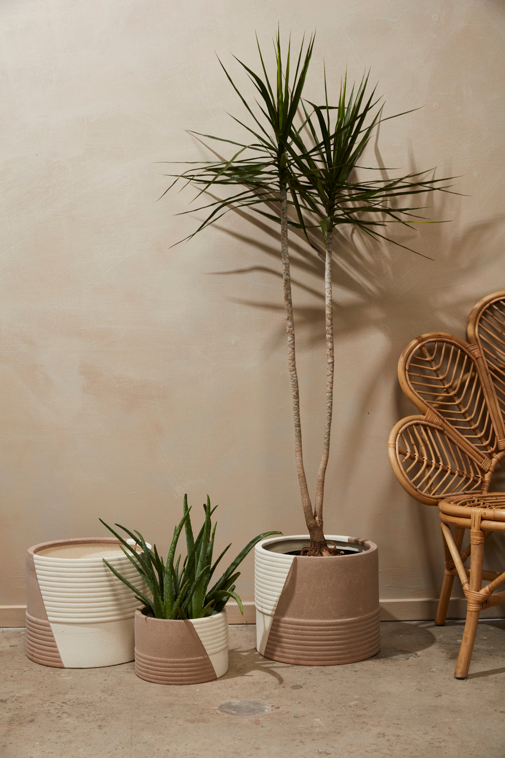 Rift Pot By Accent Decor | Planters, Troughs & Cachepots | Modishstore - 3