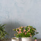 Rise and Shine Pot Set of 4 By Accent Decor | Planters, Troughs & Cachepots | Modishstore - 1