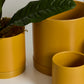 Ochre Romey Pot By Accent Decor | Planters, Troughs & Cachepots | Modishstore - 1