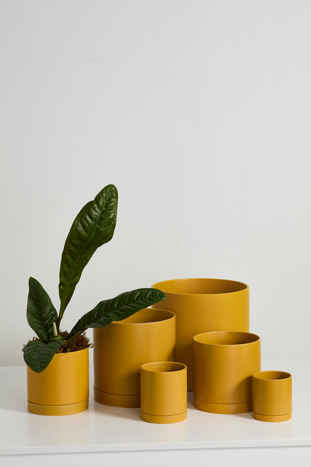 Ochre Romey Pot By Accent Decor | Planters, Troughs & Cachepots | Modishstore - 3