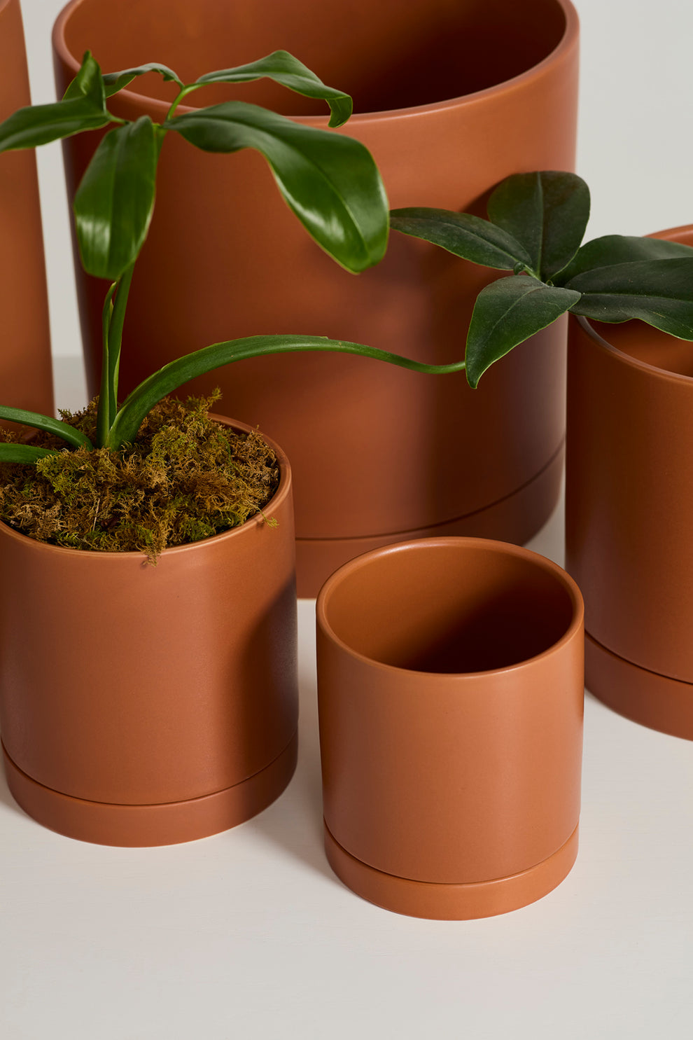 Terracotta Romey Pot By Accent Decor | Planters, Troughs & Cachepots | Modishstore - 1