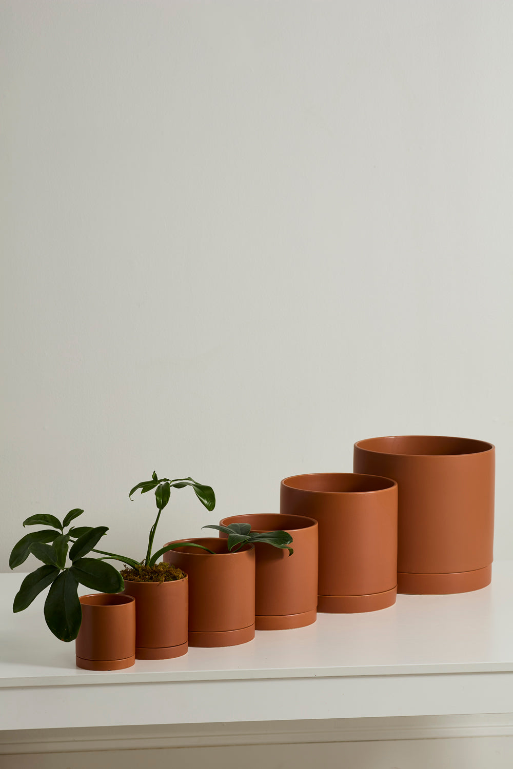 Terracotta Romey Pot By Accent Decor | Planters, Troughs & Cachepots | Modishstore - 3