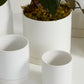 White Romey Pot By Accent Decor | Planters, Troughs & Cachepots | Modishstore - 1