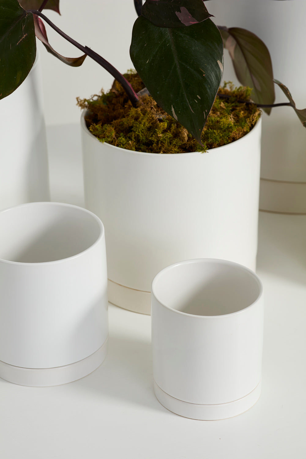 White Romey Pot By Accent Decor | Planters, Troughs & Cachepots | Modishstore - 1