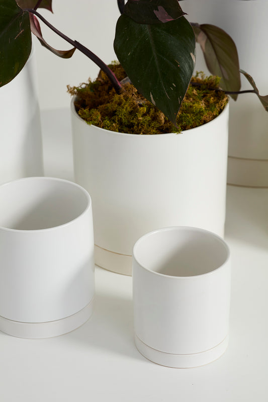 White Romey Pot By Accent Decor | Planters, Troughs & Cachepots | Modishstore - 1