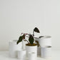 White Romey Pot By Accent Decor | Planters, Troughs & Cachepots | Modishstore - 3