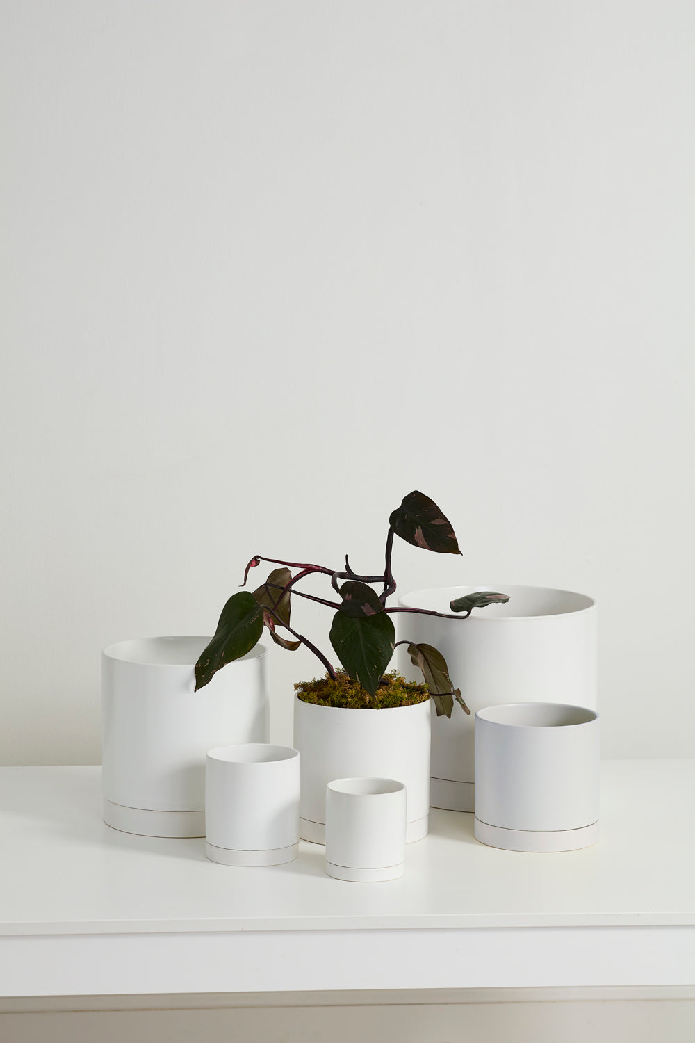 White Romey Pot By Accent Decor | Planters, Troughs & Cachepots | Modishstore - 3
