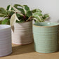 Roux Pot Set of 8 By Accent Decor | Planters, Troughs & Cachepots | Modishstore - 1