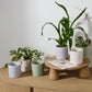 Roux Pot Set of 8 By Accent Decor | Planters, Troughs & Cachepots | Modishstore - 3