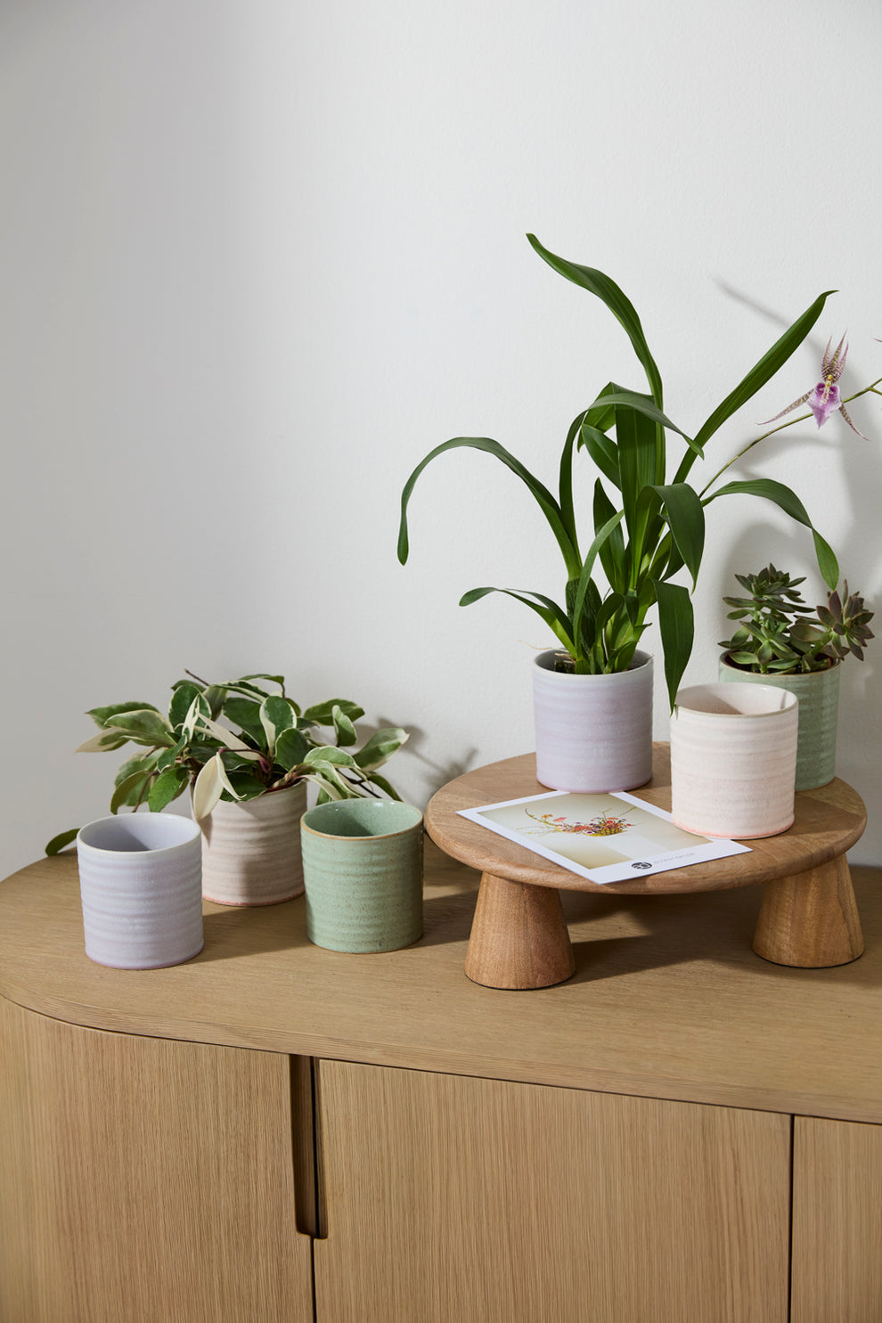 Roux Pot Set of 8 By Accent Decor | Planters, Troughs & Cachepots | Modishstore - 3