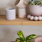 Roux Pot Set of 8 By Accent Decor | Planters, Troughs & Cachepots | Modishstore - 6