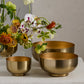 Roz Bowl Set of 8 By Accent Decor | Decorative Bowls | Modishstore - 1